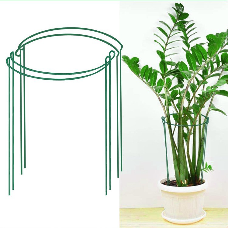 Halbrunde Pflanzenstützen, Einzelringpfähle Für Blumen Und Gartenpflanzen