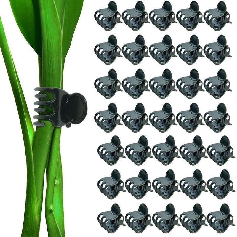 50 Kleine Pflanzenclips, 1,5 Cm, Dunkelgrüne Bindeclips Für Blumen Und Kletterpflanzen