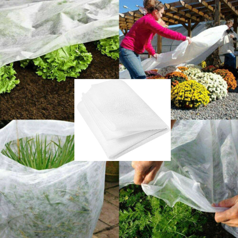 Weißes Frostschutzvlies Für Pflanzen, 3 X 10 M, Vliesschutzgewebe