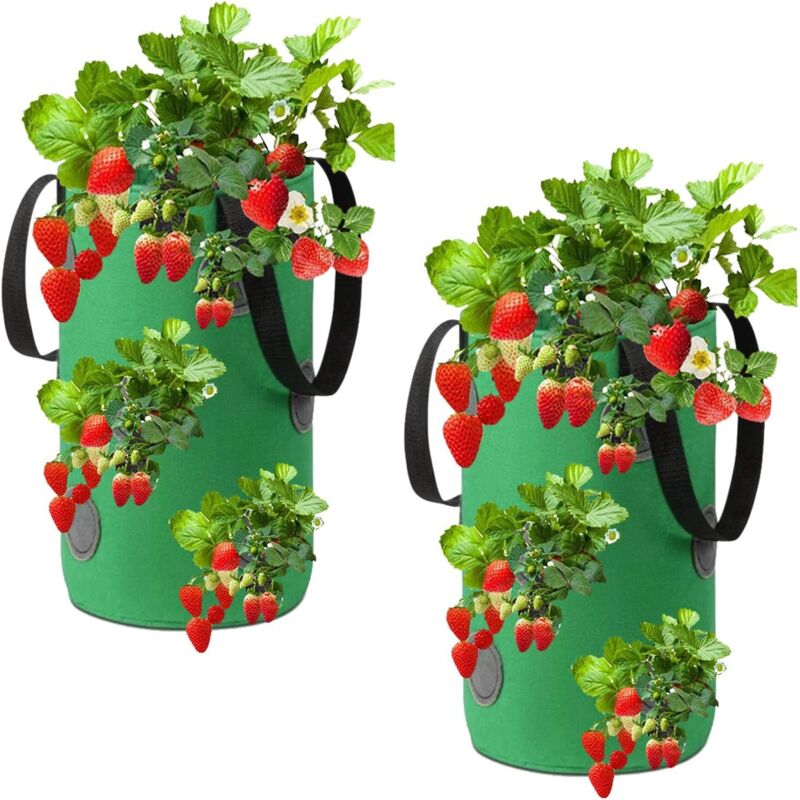 Ein Set Aus Zwei Hängenden Erdbeeren Aus Vliesstoff, Grün, 20 X 35 Cm.