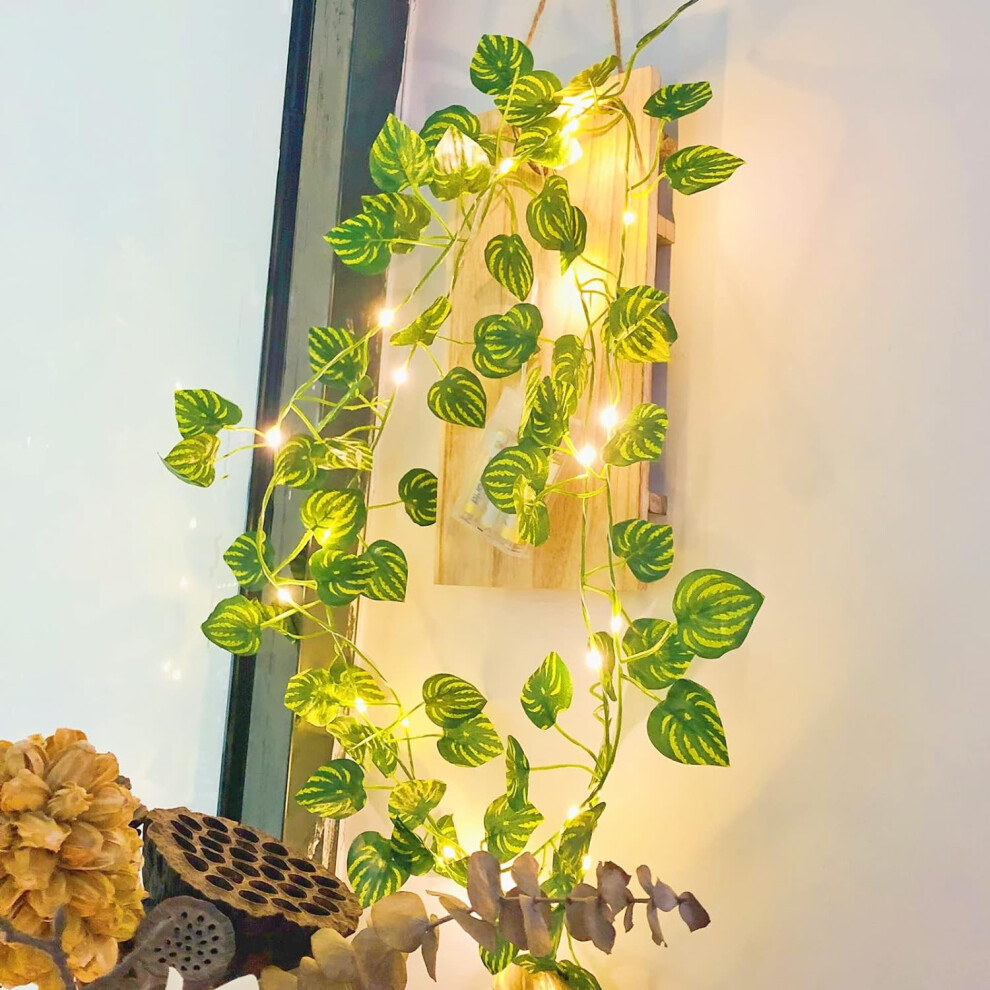 Eine Märchenhafte Lichterkette In Form Eines Wassermelonenblatts, 5 Meter Lang, Mit 50 Warmweißen Led-perlen.