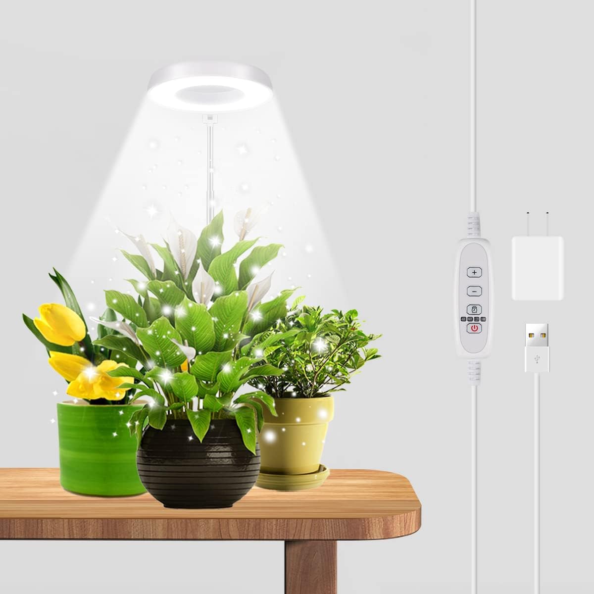 Pflanzenlampe – Fünf Helligkeitsstufen – Vollspektrum-led-pflanzenlampe – Zimmerpflanzen – Sukkulenten – Mini-bonsai – Kleine Pflanzen
