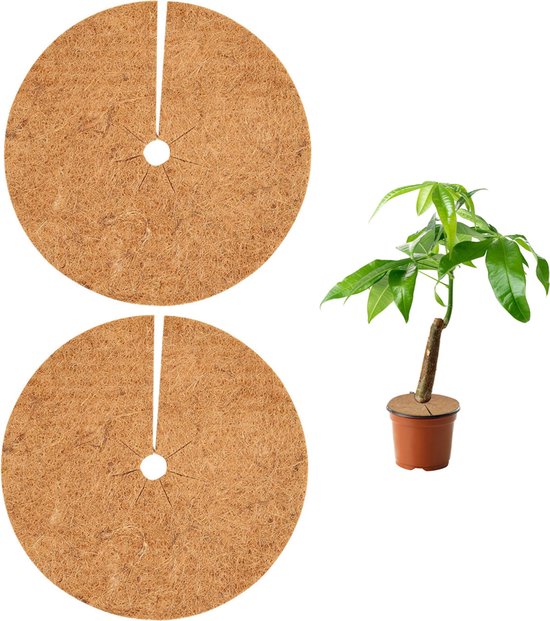 2er-packung 30x30cm Kokosfaser-wintermulchscheiben Zum Schutz Von Pflanzen