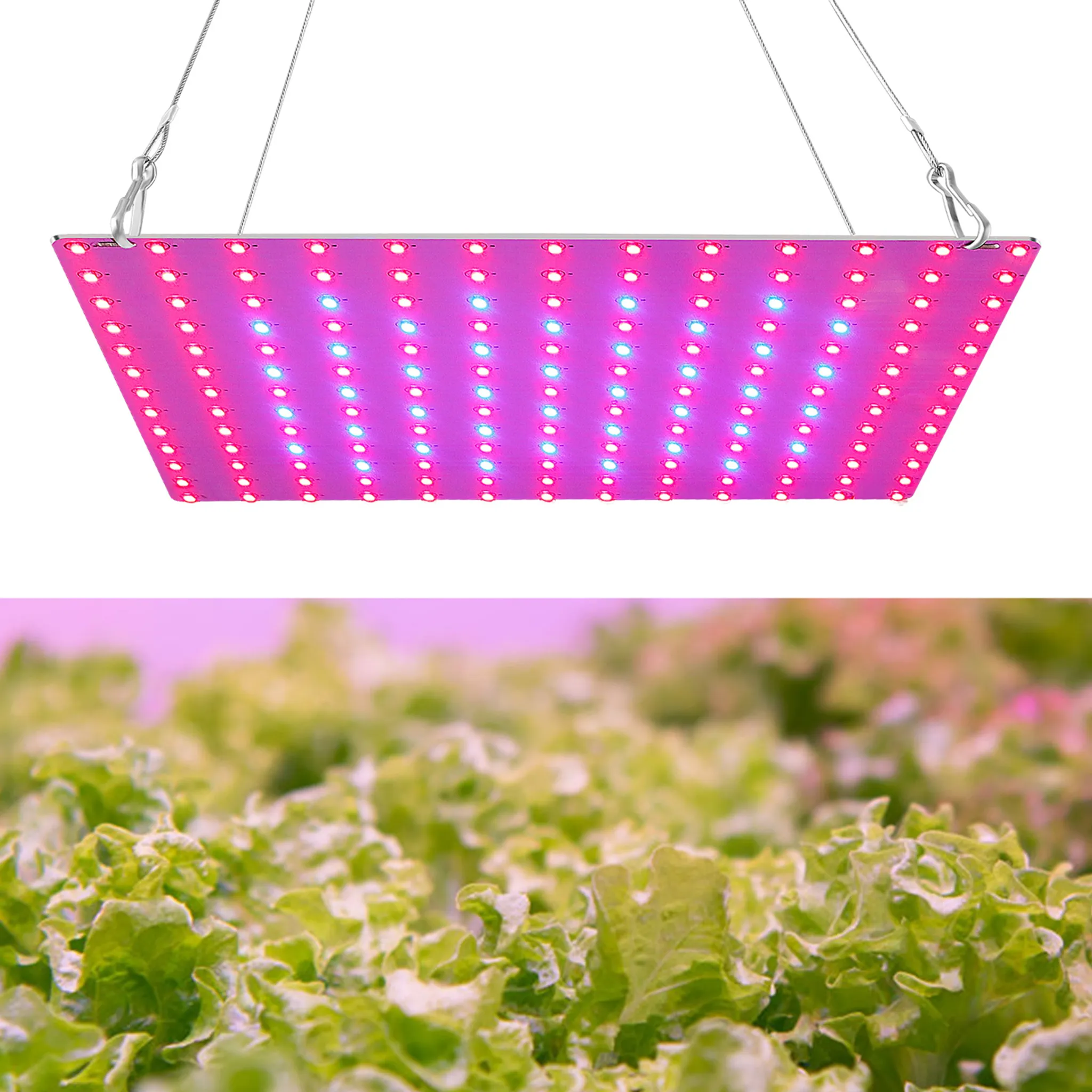 Hängendes Pflanzenwachstums-panel Für Den Innenbereich Mit 81 Roten Und Blauen Led-perlen, Geeignet Für Sämlinge, Blumen Und Gewächshäuser.