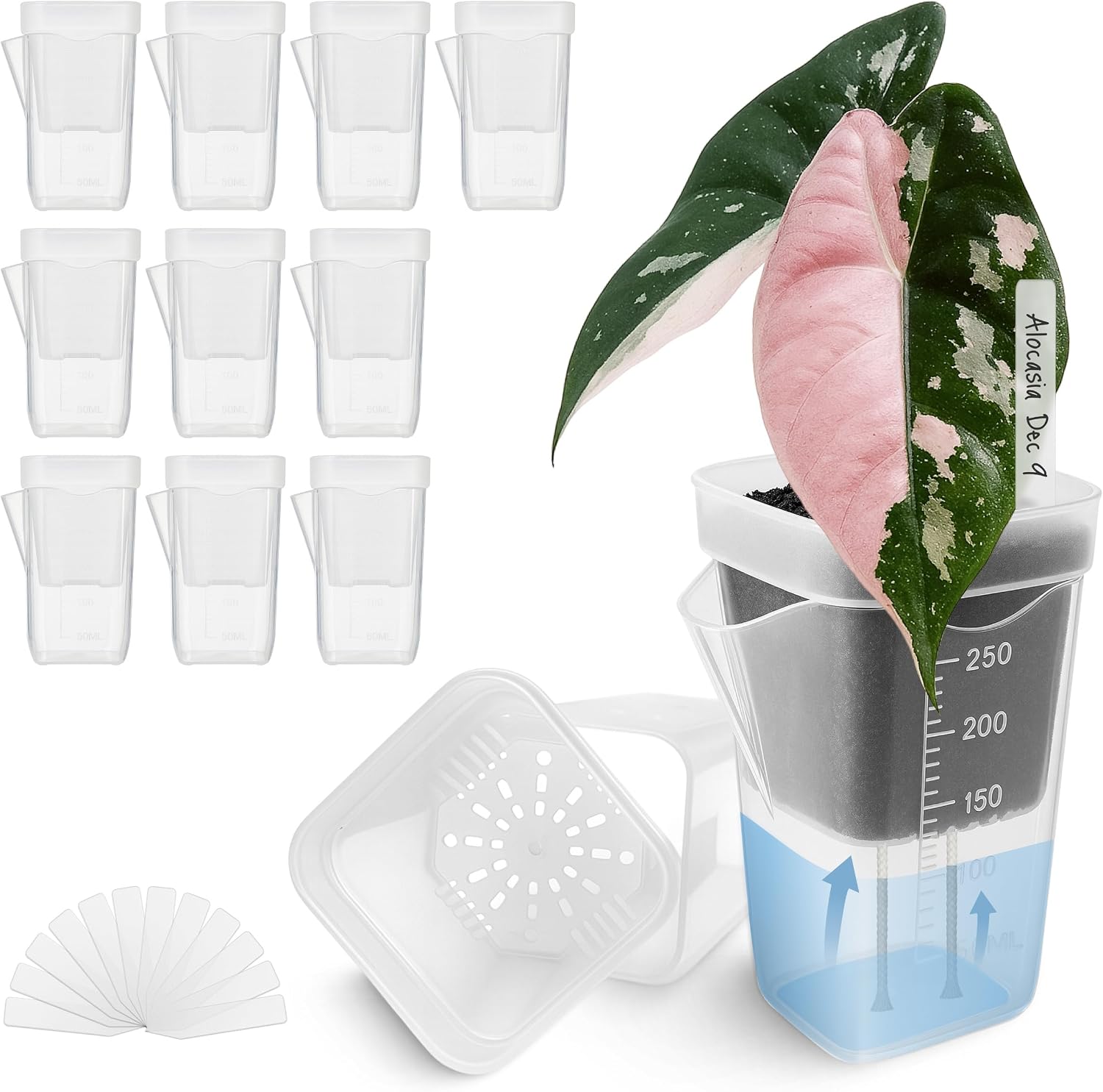 12 Mini-blumentöpfe Mit Bewässerungssystem Für Zimmerpflanzen, Kleine Transparente Kunststofftöpfe, Für Veilchen, Stecklinge Und Samen, Größe: 6,5 X 7,5 X 11,5 Cm