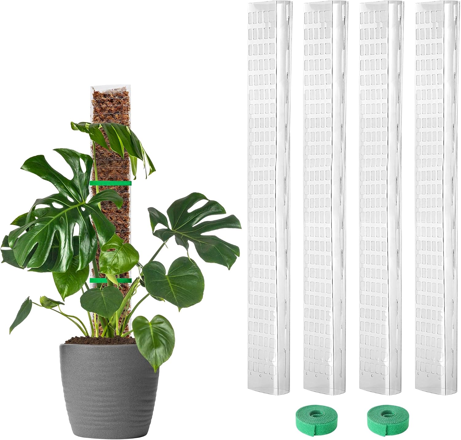 Moosstäbe Aus Kunststoff – 61 Cm Lange, D-förmige Stützstäbe – Geeignet Für Monstera Und Kletterpflanzen – Mit Befestigungsbändern, Ausziehbar Bis Zu 229 Cm