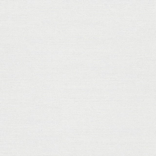Vliestapete - Forest Dreams - Grau Uni Einfarbig Erismann - 1056301