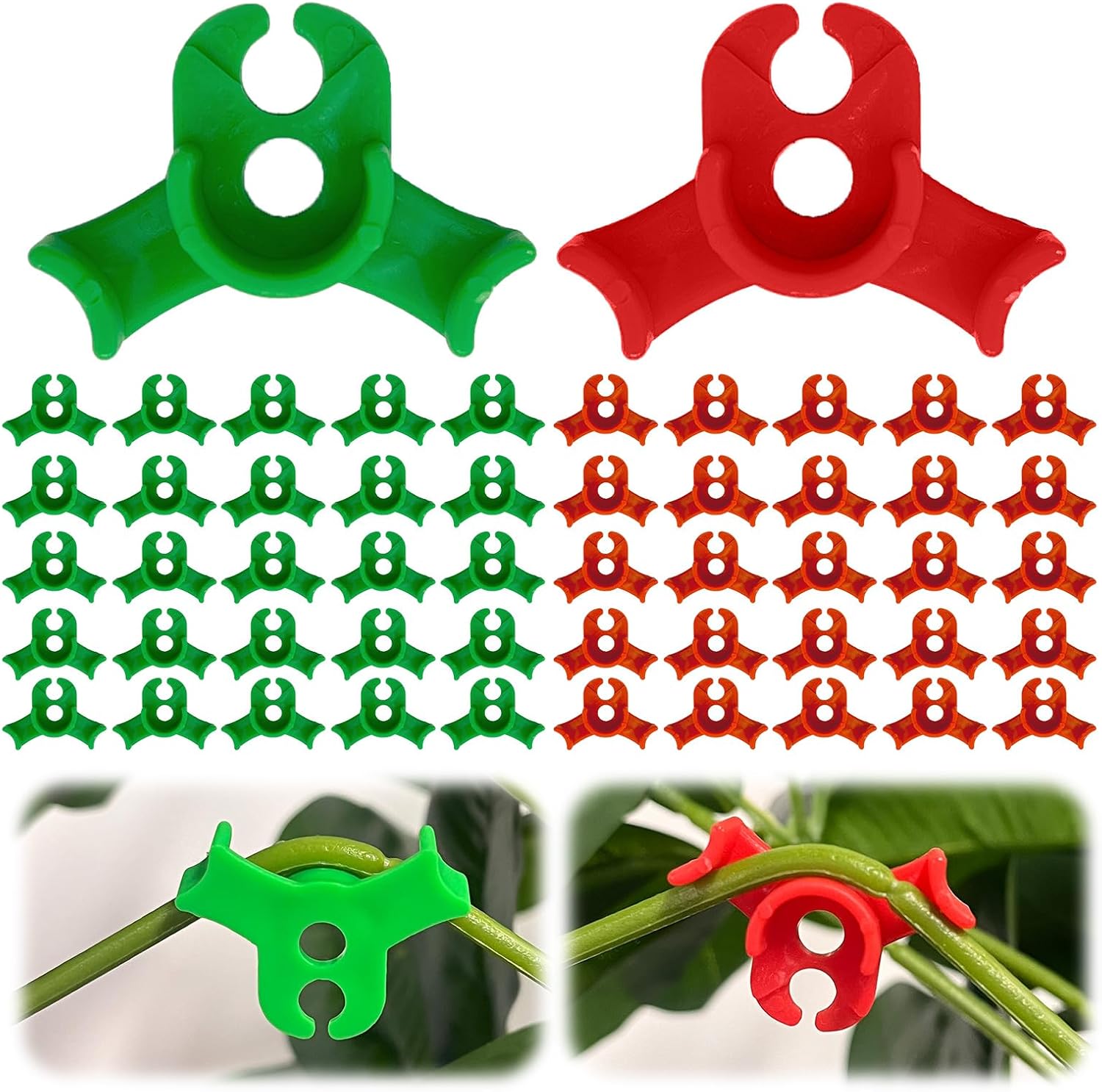 Packung Mit 50 Pflanzenbiegeclips Im 90-grad-winkel Zum Biegen Von Pflanzenstämmen Und Ändern Der Wachstumsrichtung (rot + Grün)