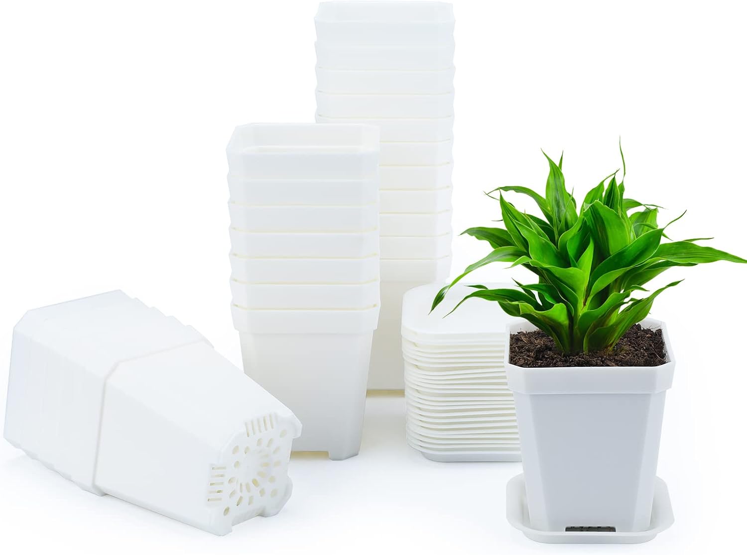 24 Stück 7 Cm Dicke Kunststoff-blumentöpfe, Geeignet Für Anzucht, Garten Und Balkon, Büro, Weiß