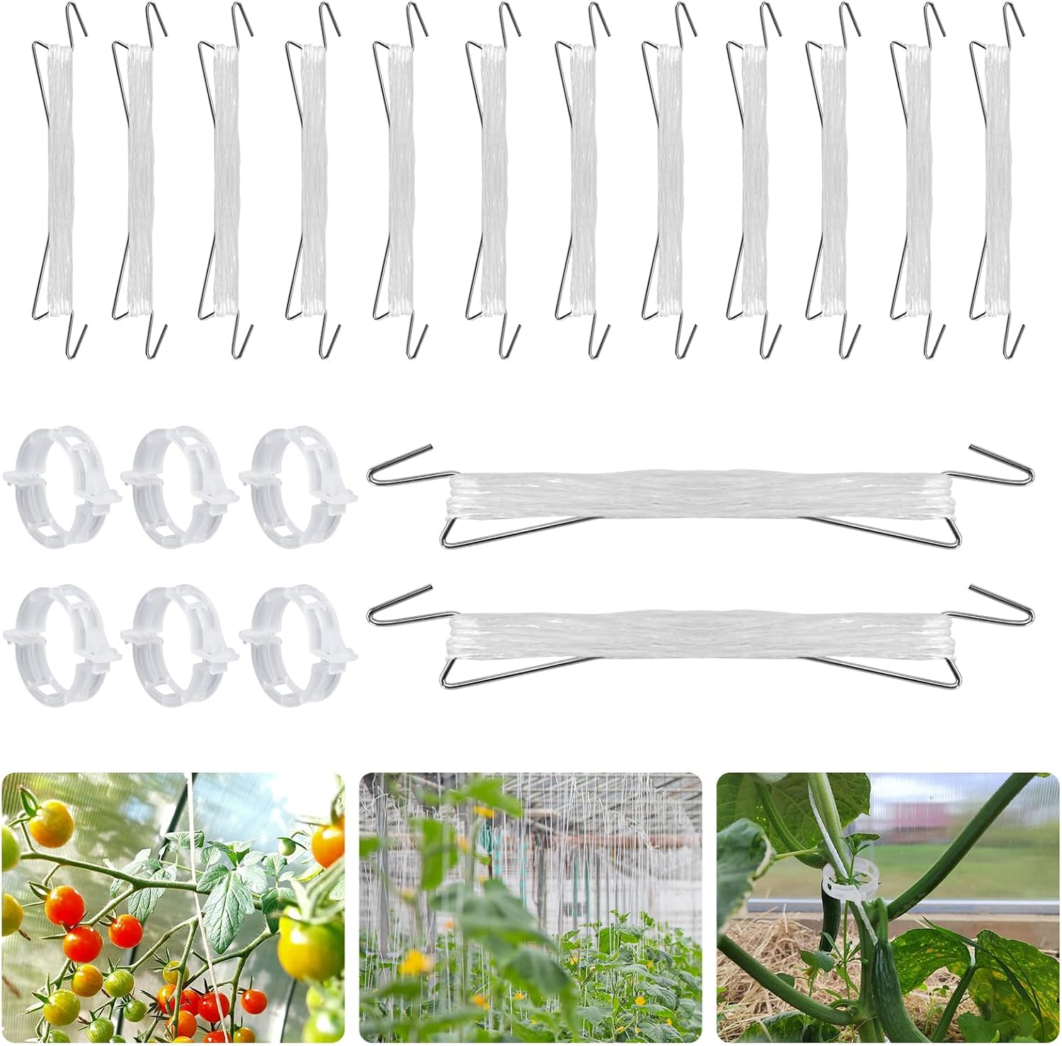 Set Mit 20 Tomatenhaken Mit Kordel – Metall – Enthält 20 Tomatenclips Und 10 M Kordel – Stütze Für Tomaten – Für Kletterpflanzen Und Gemüse