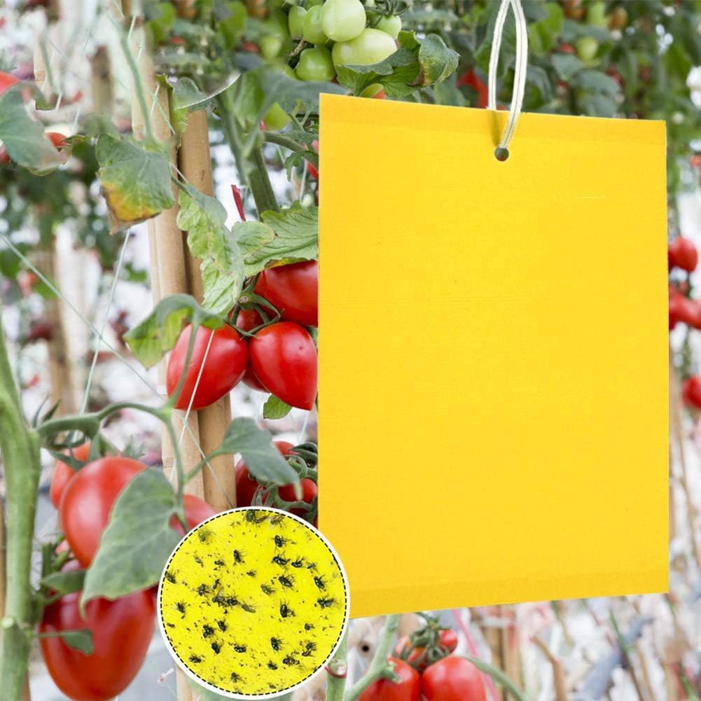 50 Stück Insektenfallen, Doppelseitige Klebefallen, Gelbes Papier-insektenabwehrmittel, Gegen Weiße Blattfliegen, Minierfliegen Und Motten Für Töpfe, Gärten Und Balkone (15x20cm)