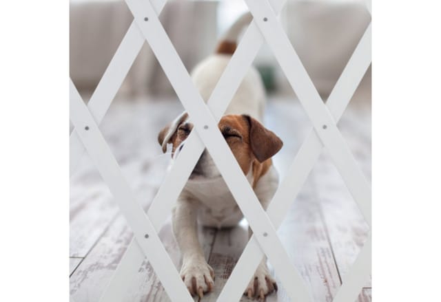 Relaxdays - Hundeabsperrgitter ausziehbar bis 126 cm, 70-82 cm hoch, Bambus, Hunde Schutzgitter, für Treppe & Tür, weiß