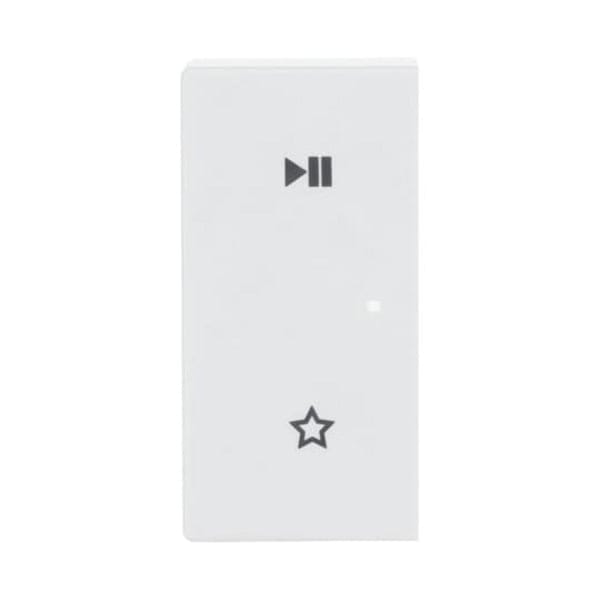 Busch-Jaeger 6237-21-84 6237-21-84 Wippe/L 2-fach,Play/Pause