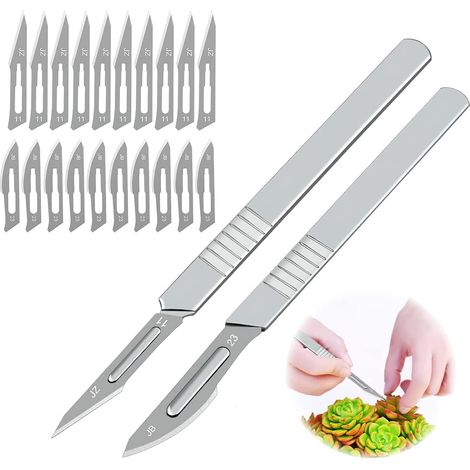 Garten- Und Taschenmesser – Schneidemesser, Veredelungs- Und Graviermesser, Inklusive 20 Ersatzklingen
