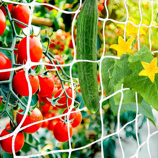 Kletterpflanzennetz – Robust Und Wetterfest – Mit Einer Maschenweite Von 15 Cm Für Kletterpflanzen Im Garten, Gemüsegarten Und Gewächshaus