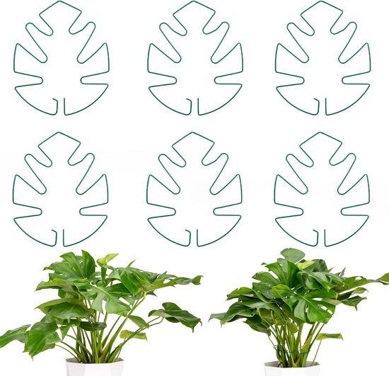 Pflanzenstützen & -halter – 6 Stück – Monstera-pflanzenstützen & -halter – Stängelstützen & -halter – Zimmerpflanzenstützen & -halter – Stützen Gegen Durchhängen – Langlebig – Monstera-pflanzenstützen