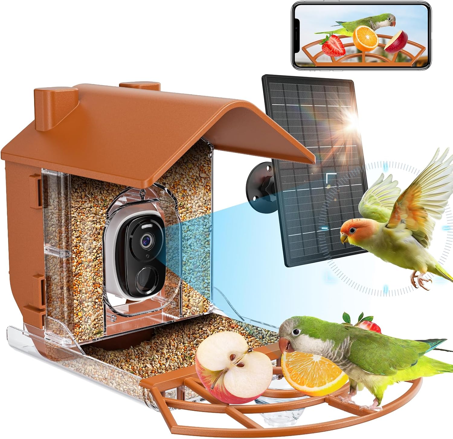 Automatische Videoaufzeichnung & Sofortbenachrichtigungen Per App, Intelligente Vogelfutterhauskamera Mit Ki Zur Vogelartenerkennung, Vogelfutterhaus Mit Kamera