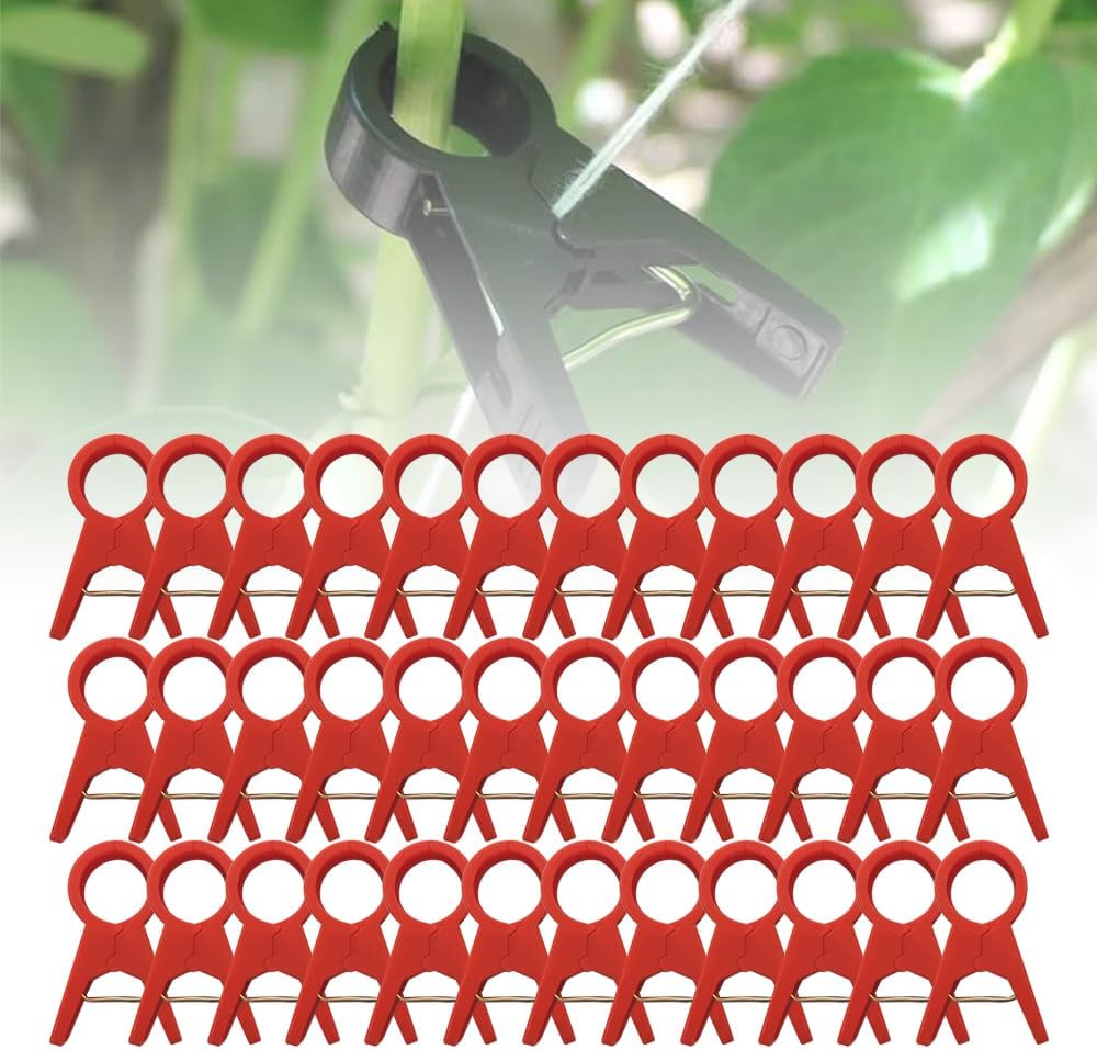 Pflanzenstützenclips – Feste Kunststoff-pflanzenstützenclips – Wiederverwendbare Kletterclips Für Gartenpflanzen Im Freien – Tomatenstützen