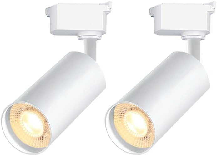 2 Dimmbare 20-w-led-schienenstrahler (ohne Schienen) – H-schienen – 6000 K Kaltweiß – Deckenstrahler