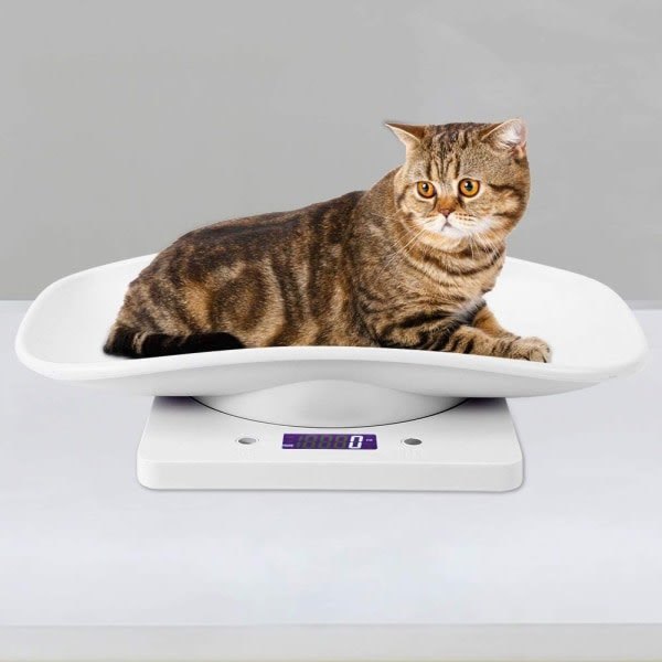 Ic 10kg/1g Kleintierwaage Für Genaue Messungen