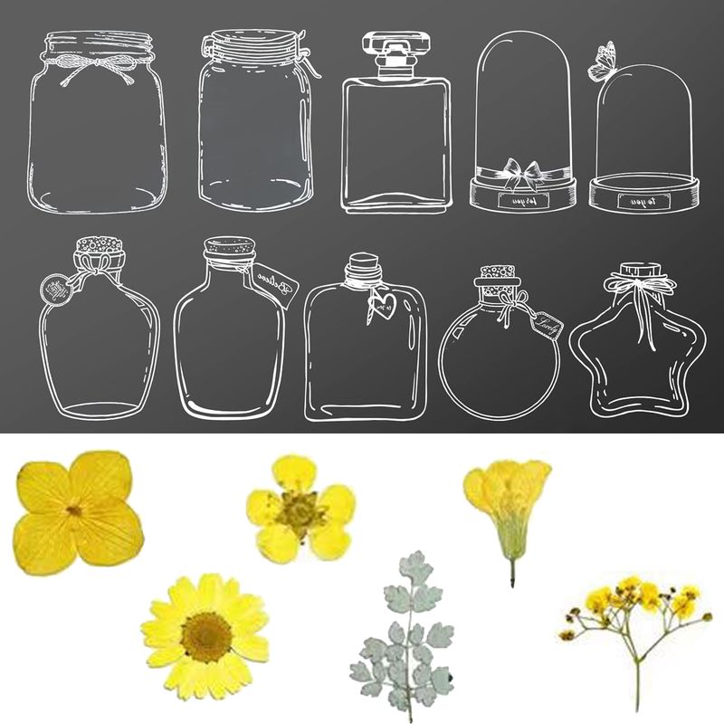 52 Seiten, Durchsichtige Kunststoffhülle, Trockenblumen, Stickerbuch, Kreative Aktivität Für Kinder