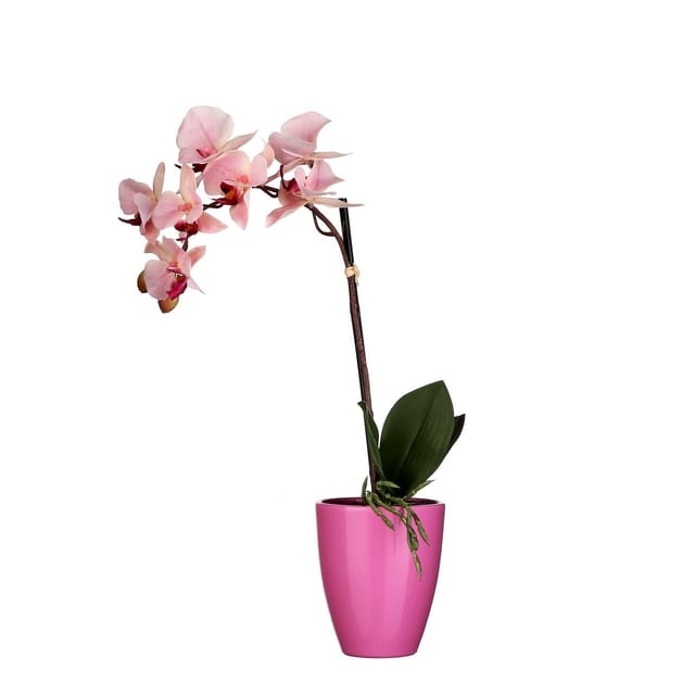 Mica Kunstpflanze Phalaenopsis im Topf rosa, 42 x 20 cm Kunstpflanzen