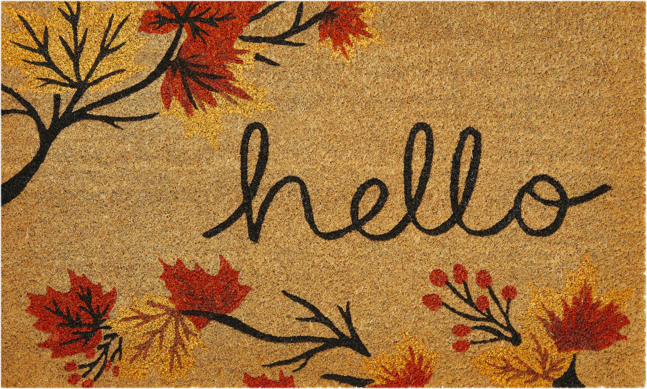 Andiamo Fußmatte Daisy Herbstmotiv 45 x 75 cm natur