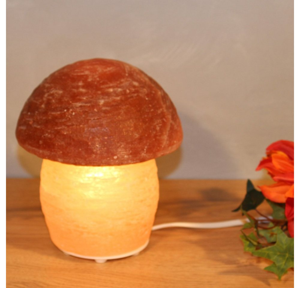 Wagner Life Design Salzkristall-Tischlampe Pilz, Leuchtmittel wechselbar, Warmweiß, Handgefertigt aus Salzkristall - jeder Stein ein Unikat, H: ca.16 cm Bild 3