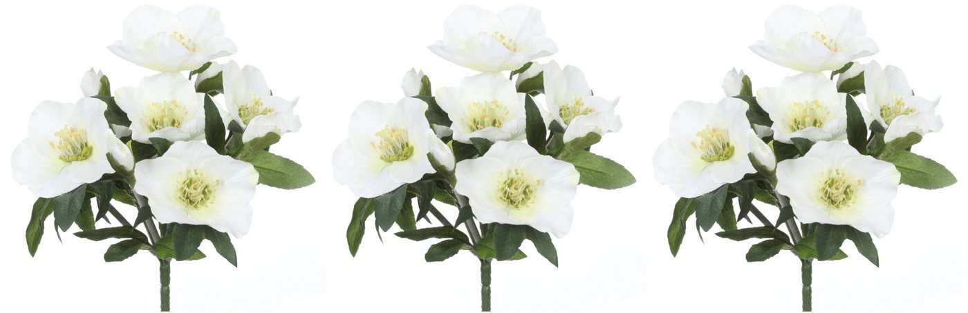 Winterliche Kunstpflanze Weihnachtsdeko Christrose, Creativ green, Höhe 25 cm, 3 Büsche mit je 7 Blüten und Knospen Bild 3