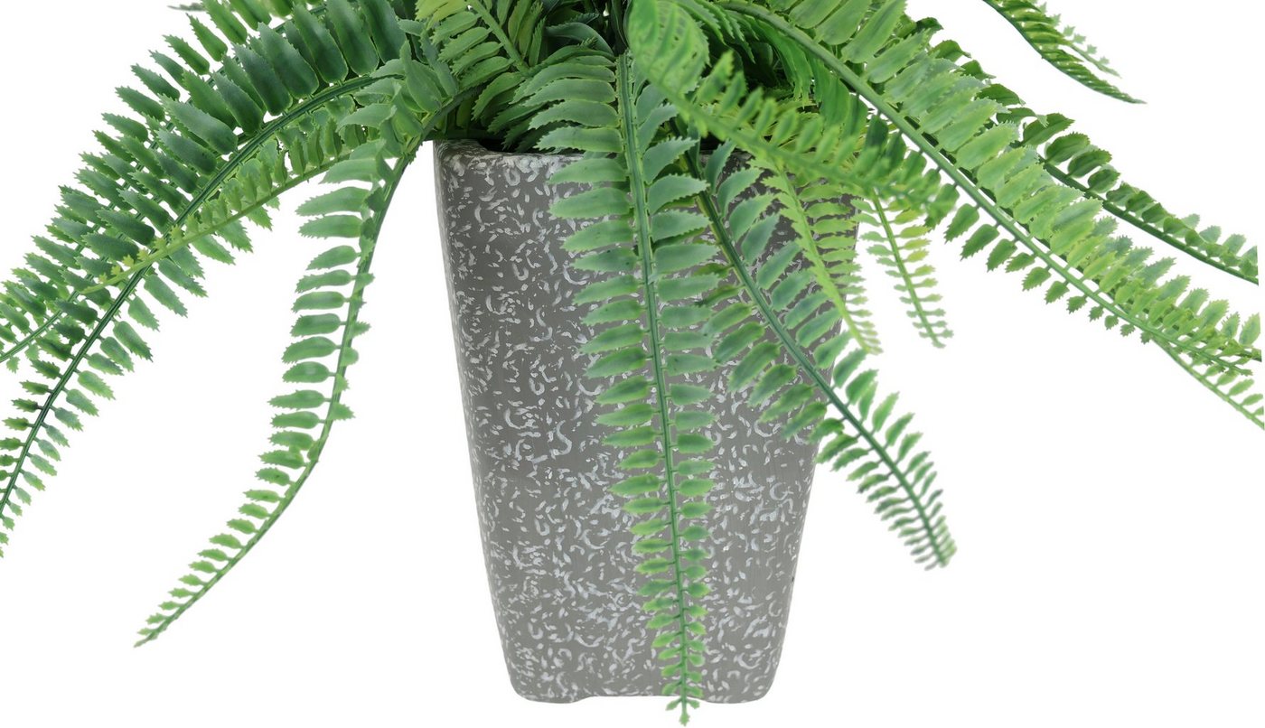 Kunstpflanze Künstlicher Waldfarn im Topf Farn Kunstfarn Farnbusch Waldpflanze, I.GE.A., Höhe 48 cm, Zimmerpflanze Pflanze Grünpflanze Dekofarn Strauch Dekopflanze