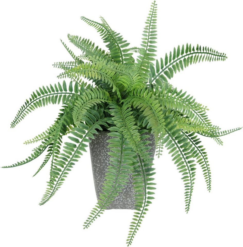 Kunstpflanze Künstlicher Waldfarn im Topf Farn Kunstfarn Farnbusch Waldpflanze, I.GE.A., Höhe 48 cm, Zimmerpflanze Pflanze Grünpflanze Dekofarn Strauch Dekopflanze Bild 4