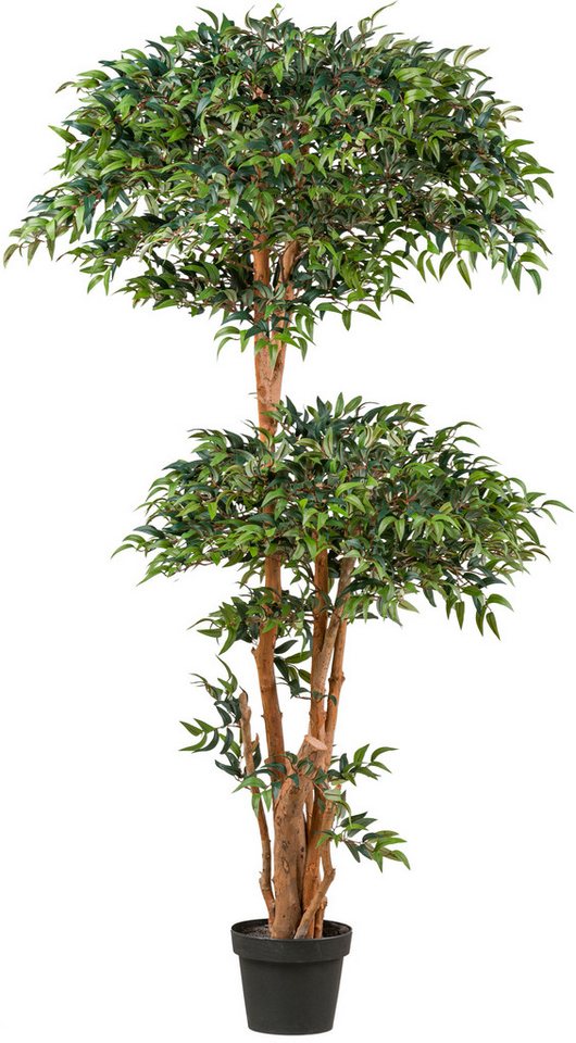 Kunstpflanze Ruscus Grünpflanze, Creativ green, Höhe 170 cm, in toller Größe