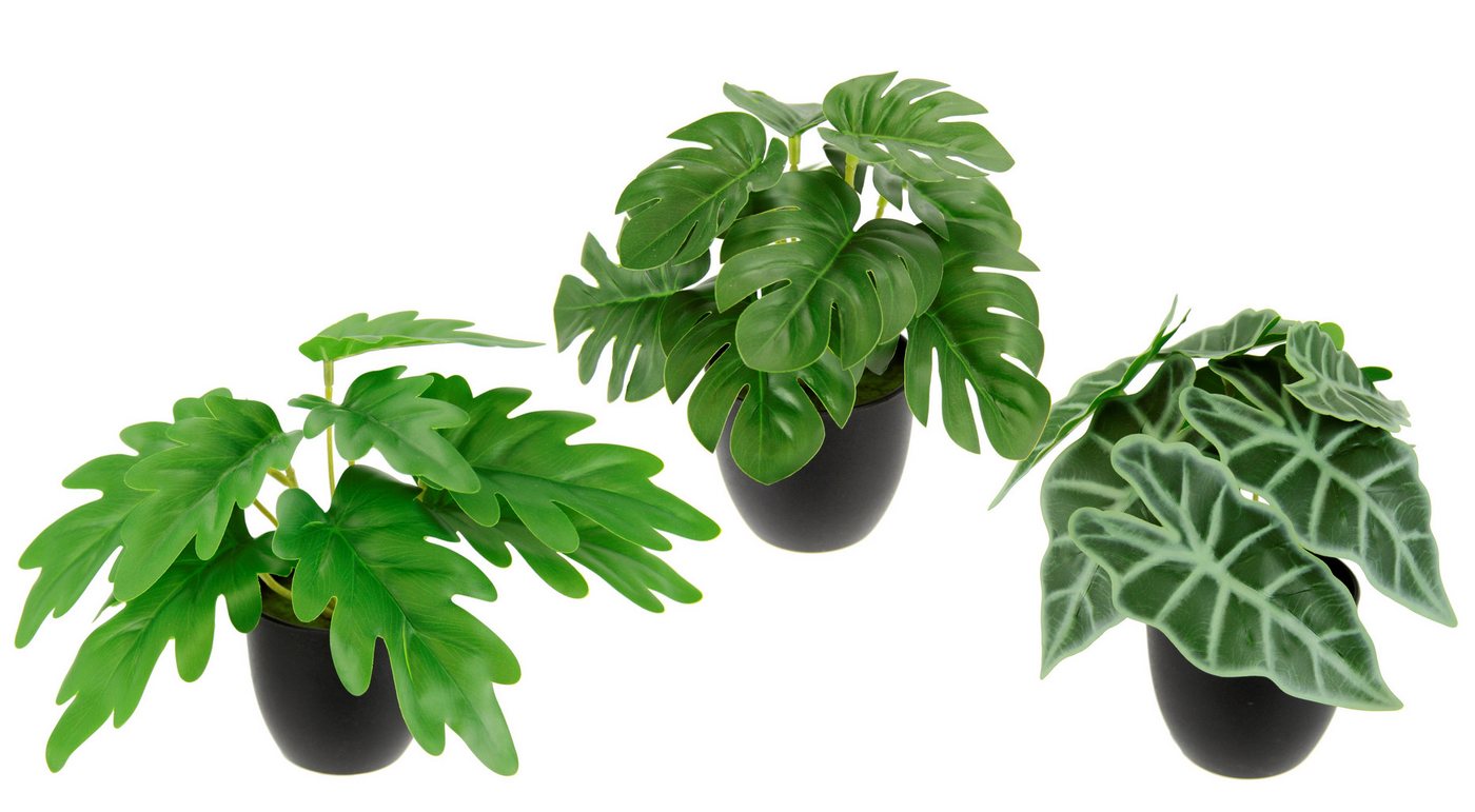 Kunstpflanze Künstliches Zimmerpflanzen-Set, I.GE.A., Höhe 17 cm, Im Topf 3er Set Grünpflanzen Zimmerpflanze Monstera Philo Calathea