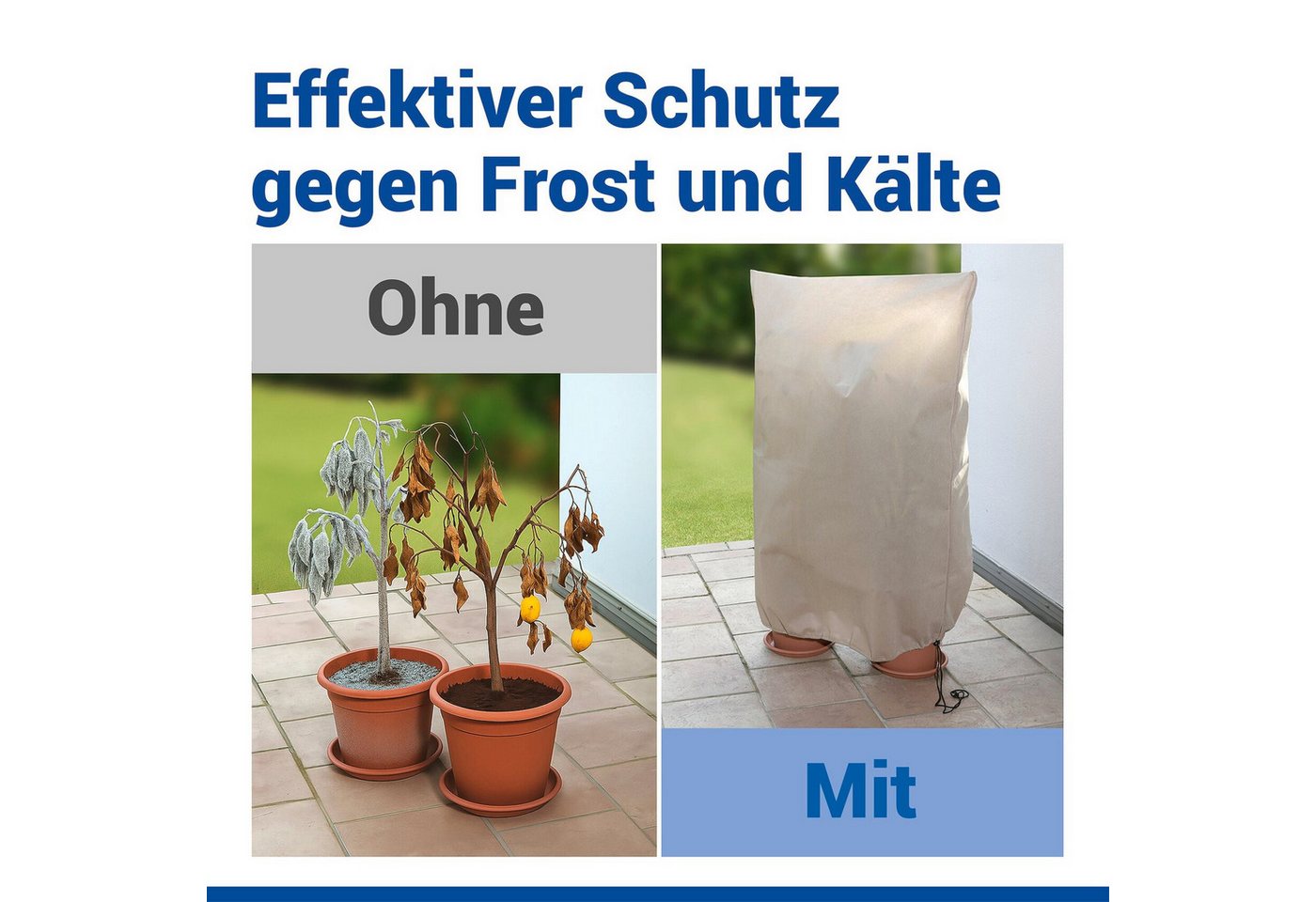 Maximex Winterschutzhaube Pflanzenschutz-Vlies, 100x120 cm, reißfestes Vlies, mit Reißverschluss und Zugband, BxH: 100x120 cm Bild 2