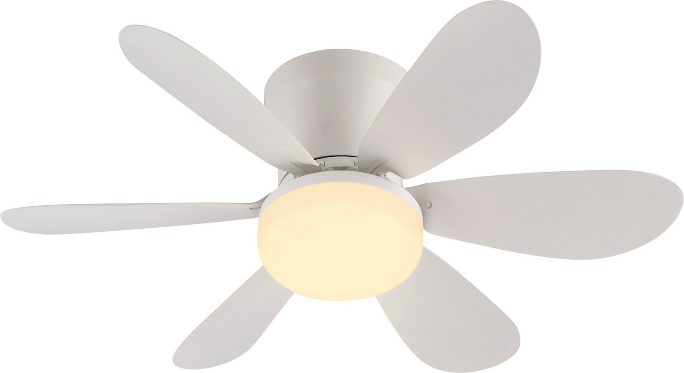 JUST LIGHT LED Deckenleuchte MINIAIR, Dimmfunktion, LED fest integriert, warmweiß - kaltweiß, Ventilatorfunktion in 3 Geschwindigkeitsstufen, mit Timer 2h/4h/8h Bild 5