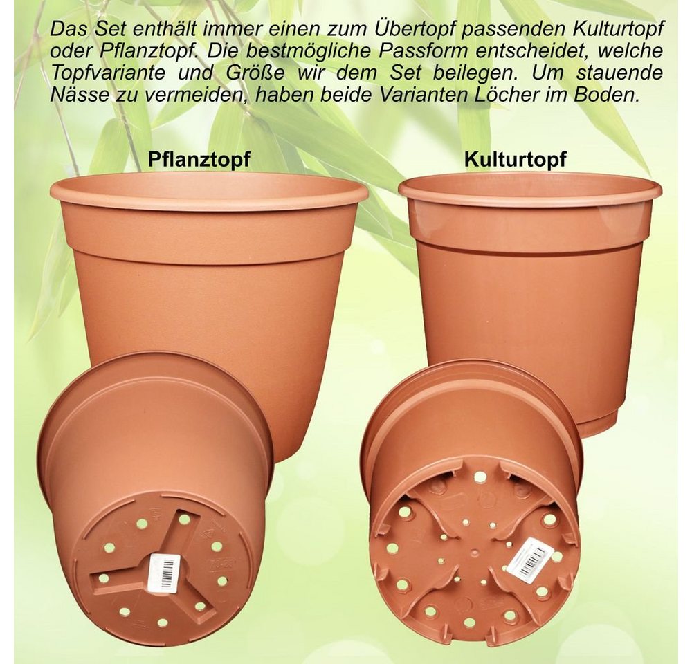 Heimwerkercenter Übertopf MePla - Set - Übertopf Belice ø13 - Pfirsich + Kulturtopf ø12 Bild 2