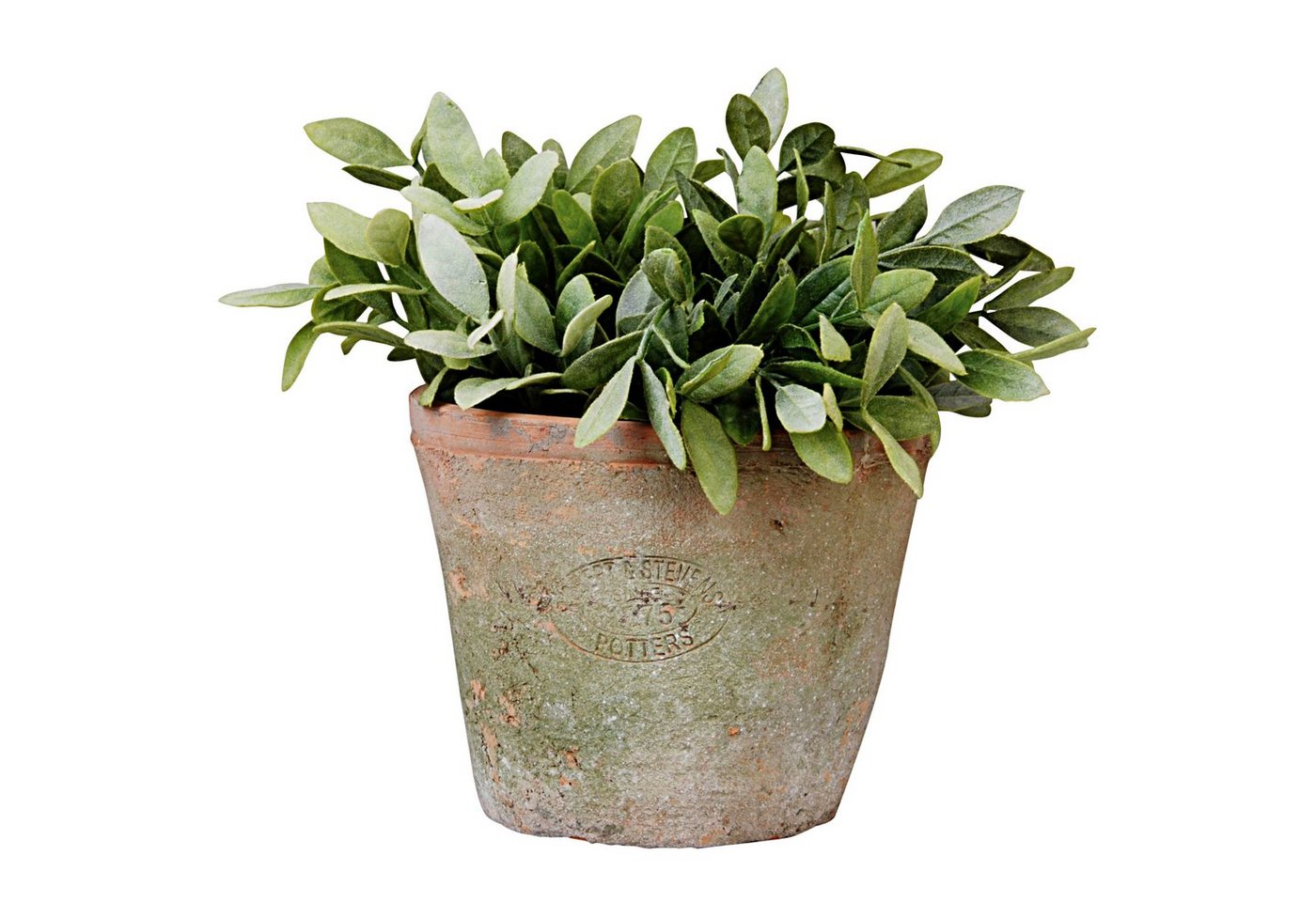 Dekowunder Übertopf 12 cm hoch Aged Terracotta Blumentopf Übertopf Umtopf rund Pflanzen Bild 3