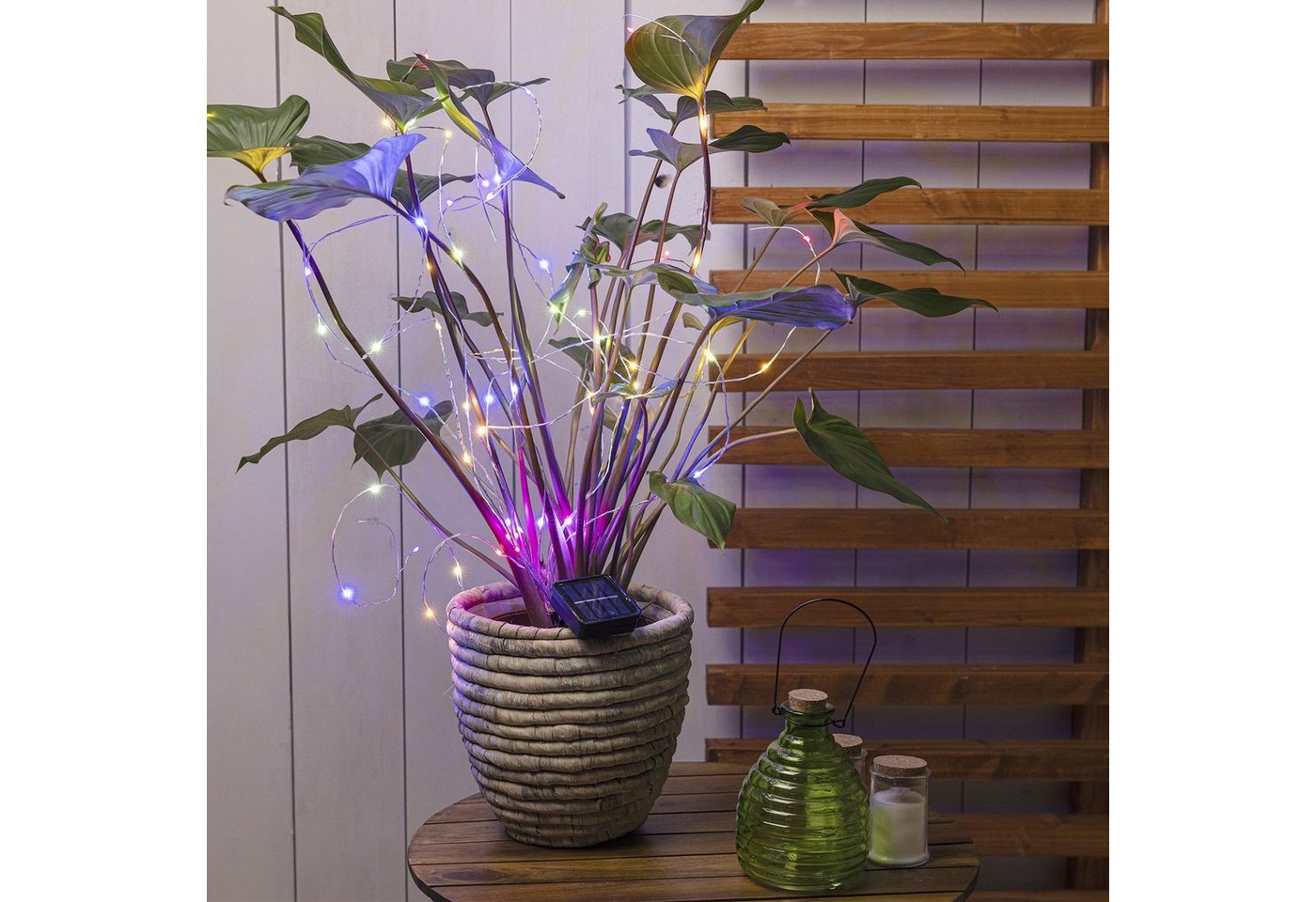 MARELIDA LED-Lichterkette LED Solar Draht Lichtbündel 80cm 10 bunte Stränge Pflanzenbeleuchtung, 60-flammig Bild 2