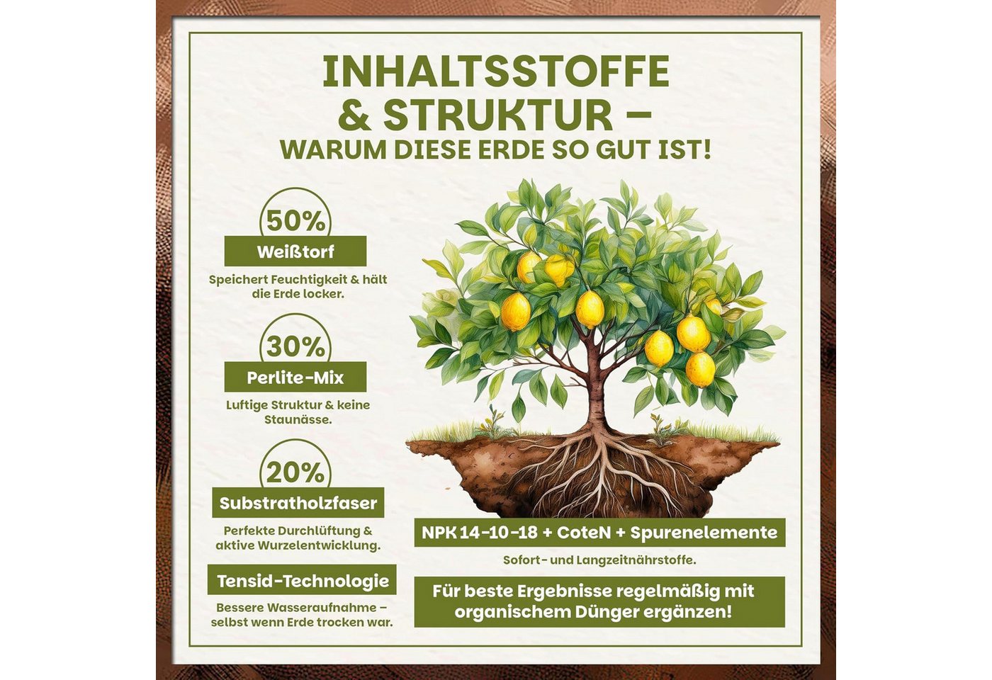 GREEN HOME LOVE NATURE Spezialerde Zitruserde für Zitruspflanzen & mediterrane Pflanzen, Langzeitdünger 18 L, 36 L, 72 L, Langzeitdünger, Perlite, Kokosfasern, pH 5,8, gute Drainage Bild 3