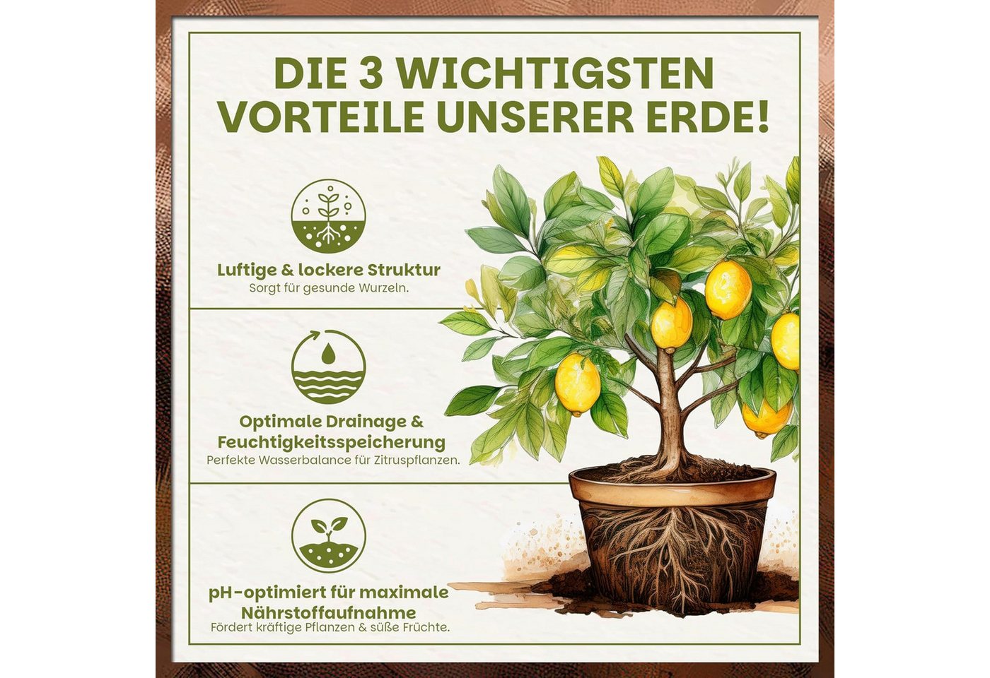 GREEN HOME LOVE NATURE Spezialerde Zitruserde für Zitruspflanzen & mediterrane Pflanzen, Langzeitdünger 18 L, 36 L, 72 L, Langzeitdünger, Perlite, Kokosfasern, pH 5,8, gute Drainage Bild 5
