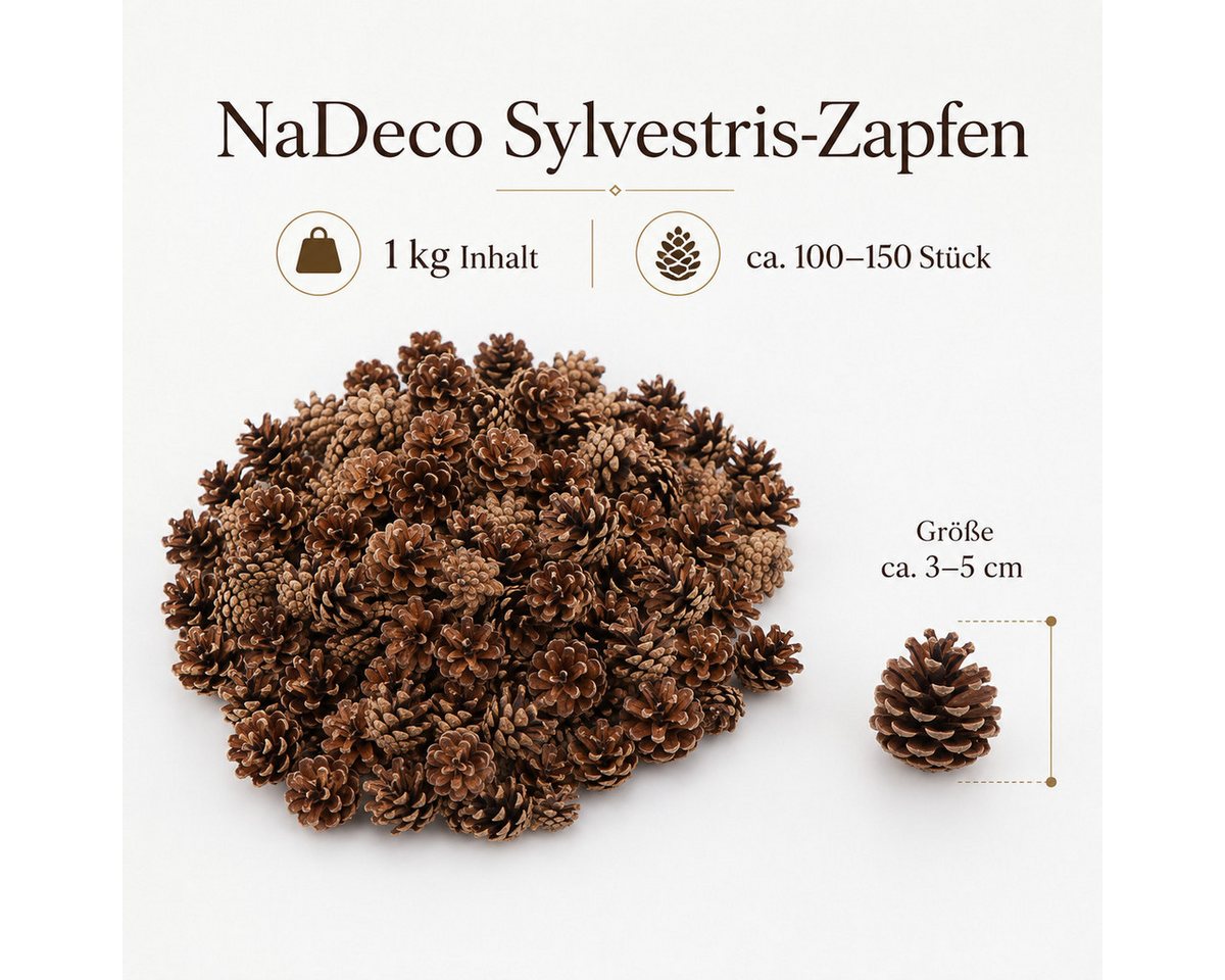NaDeco Bastelnaturmaterial Sylvestris Zapfen 1kg Waldkiefer Zapfen