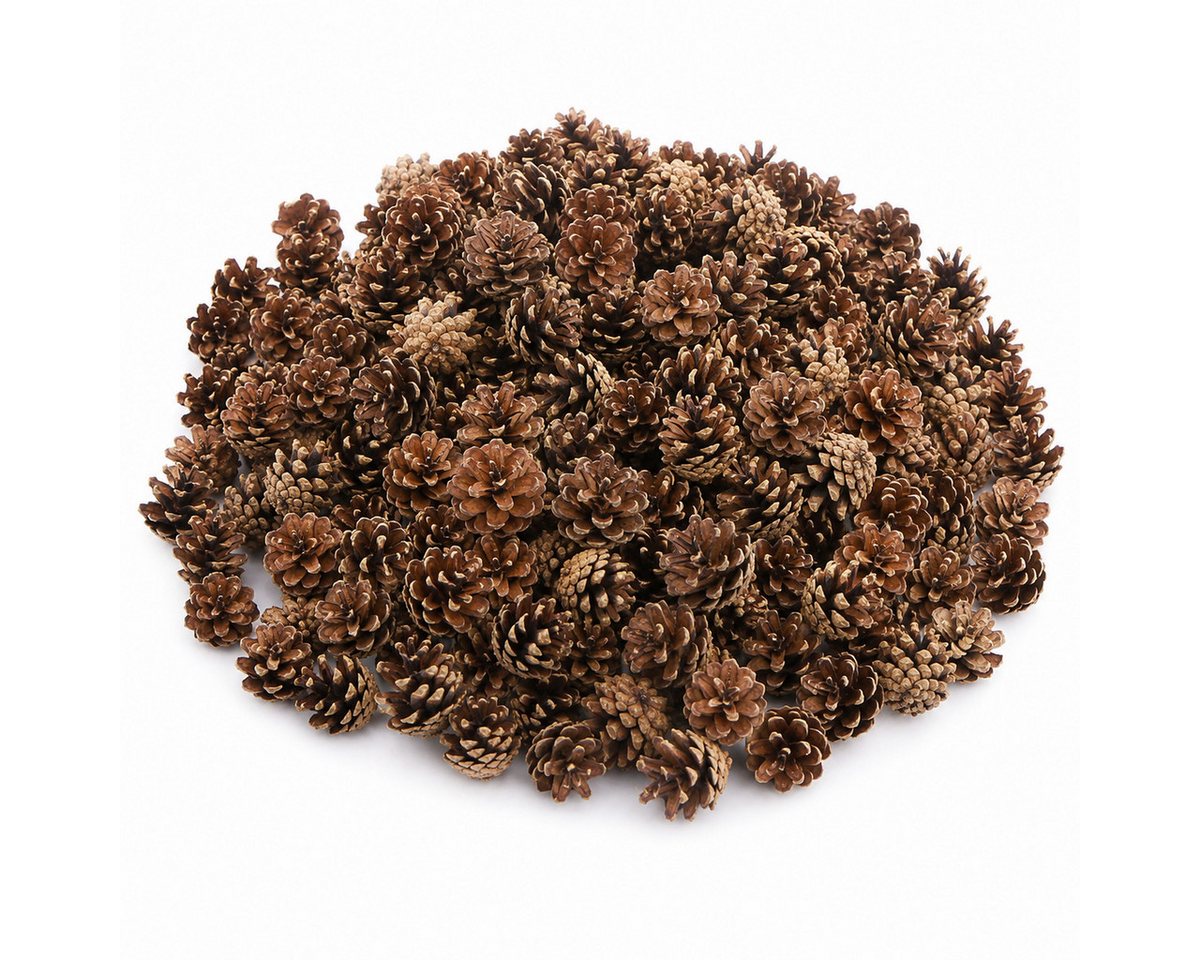 NaDeco Bastelnaturmaterial Sylvestris Zapfen 1kg Waldkiefer Zapfen Bild 5