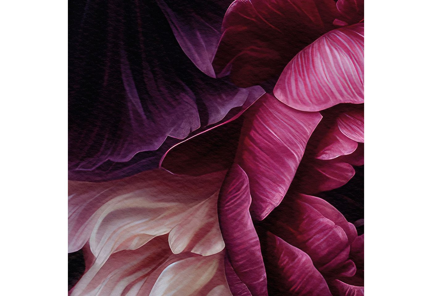 K&L Wall Art Vliestapete XXL Fototapete Natur Blumentapete große Naturtapete, floral, bedruckt, matt