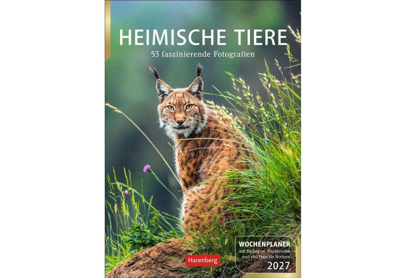 Harenberg Kalender Verlag Wandkalender Heimische Tiere Wochenplaner 2027 - 53 faszinierende Fotografien Bild 2