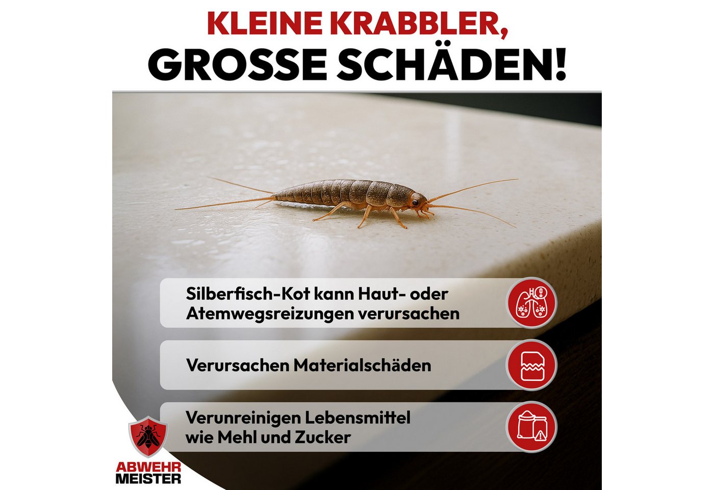 ABWEHR MEISTER Insektenspray ORGINAL ByeBye Silberfisch- Spray [500 ml], 1-St., Präzise Anwendung, dank integrierter Sprühlanze Bild 2