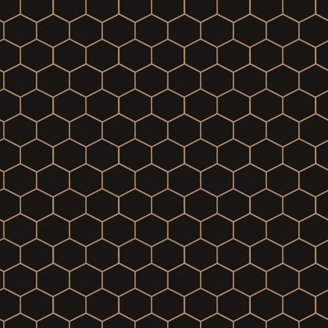Hexagon Geo Schwarz - Vliestapete - 10m x 52cm