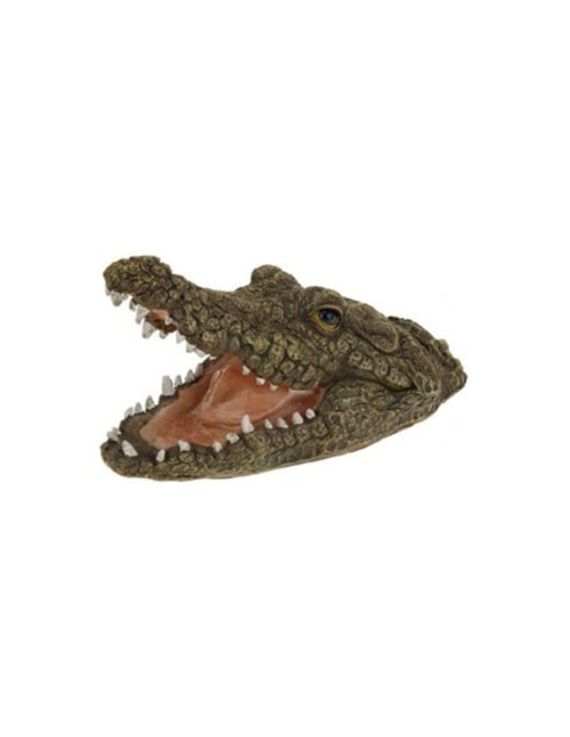 Mass - Krokodil erschreckt Vögel 31x18cm 231605 o