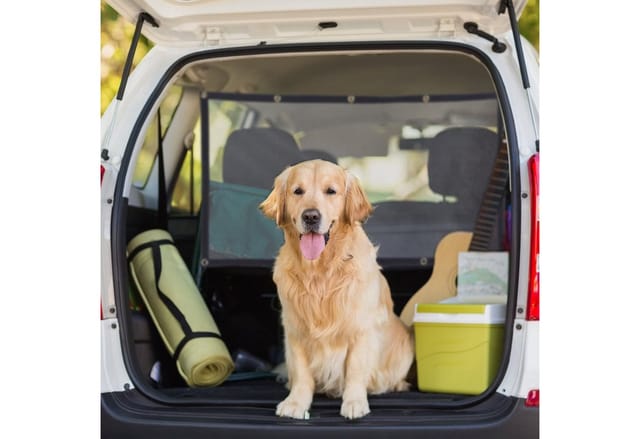 Auto Trennnetz für Hunde, Autonetz universal, Vordersitze, Rückbank & Kofferraum, mit Spanngummis, pp, schwarz - Relaxdays