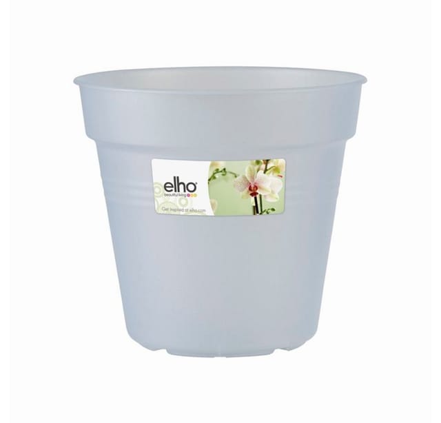 Green Basic Orchidee transparent 17 cm