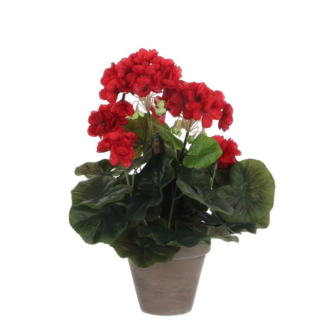 Mica Geranium im Topf rot, 34 x 20 cm Kunstpflanzen